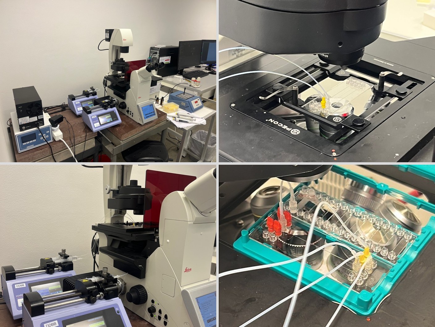 Leica DMi8 optical microscope: full setup, sample stage, syringe pumps, and objective close-up