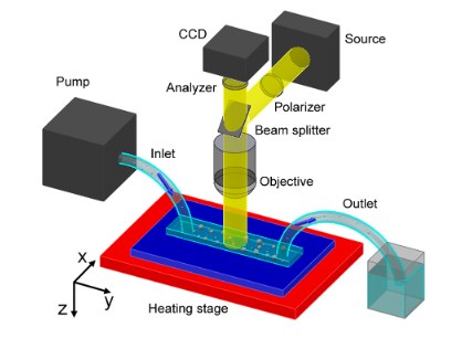 Phase transitions research figure 2