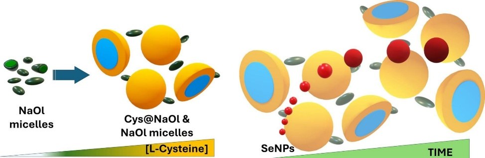 Phase transitions research figure 5